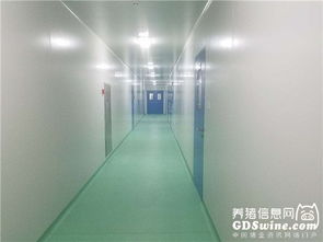 正業(yè)生物疫苗懸浮培養(yǎng)車間通過(guò)農(nóng)業(yè)部GMP認(rèn)證，引領(lǐng)生物制品產(chǎn)業(yè)新篇章