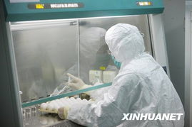 甲流疫苗批量啟動(dòng) 生物制品生產(chǎn)的新突破與公眾健康保護(hù)網(wǎng)的構(gòu)建